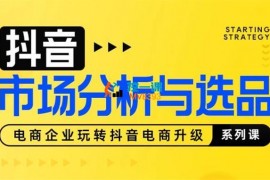 小涛《兴趣电商市场分析与选品》