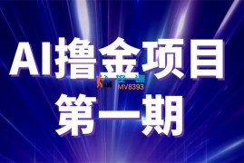 阿斌《2024AI撸金项目第一期》