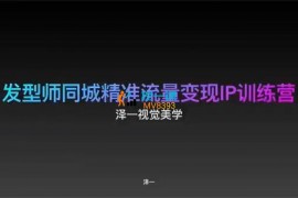 泽一《发型师同城精准流量变现IP训练营》