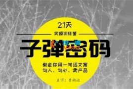 李炳池《21天子弹秘密训练营》