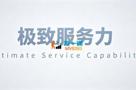 老纪《2026中国式服务增长力课程》