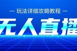 大飞《九月最新无人直播技术》