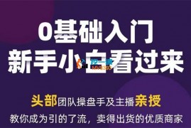 樊鑫《2024年新媒体流量变现运营笔记》