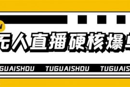大飞《无人直播硬核爆单技术》