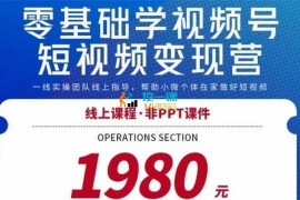 大牛《0基础学视频号短视频变现》