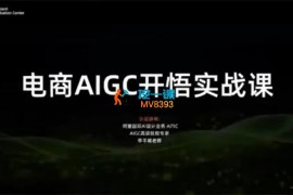 李羊城《电商AIGC开悟实战课》