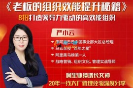 众筹：严小云·老板的组织效能提升秘籍