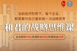 高手知路《和君战略思维课》
