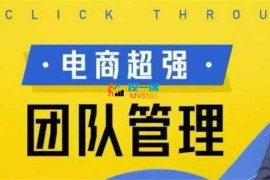 大圣《电商超强团队管理》