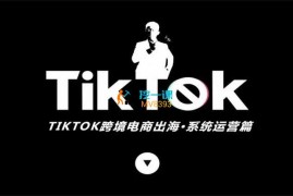 汤九两《TikTok跨境电商出海》