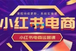 阿静《小红书电商运营实操课》