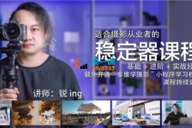 艾克森《稳定器课程》