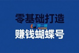 李佳《零基础打造赚钱的蝴蝶号》
