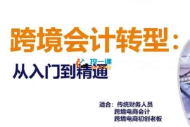 米朵《跨境会计转型从入门到精通》