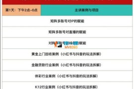 嗨推《矩阵引流运营线下实训课3天录音》