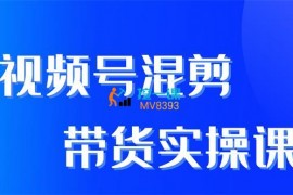张小伟《视频号混剪带货实操课》
