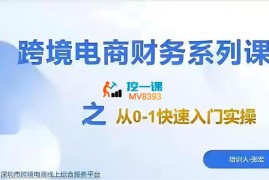 宏姐《跨境电商财务系列课之从0-1快速入门实操》