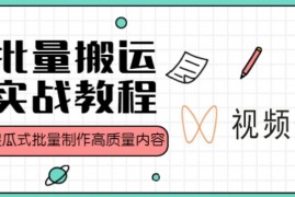 《视频号批量搬运实战》操作运营赚钱教程