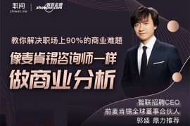 职问《像麦肯锡咨询师一样做商业分析》