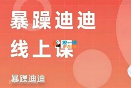 暴躁迪迪《2024主播线上课》