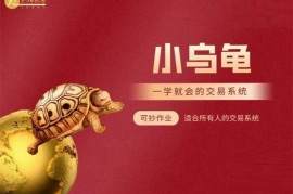 众筹：小乌龟系统第二期