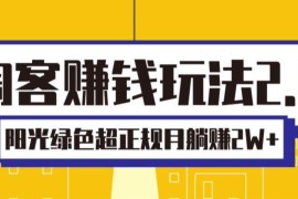 淘客赚钱玩法2.0，阳光绿色超正规项目