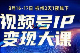 群响《视频号IP变现线下大课8月16-17日》