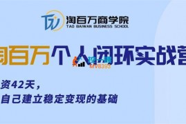 淘百万《个人闭环实战营》