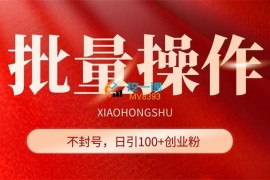 万玩社《小红书批量操作野路子信息差玩法》