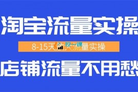 扫地僧大飞《淘宝流量实操进阶课》