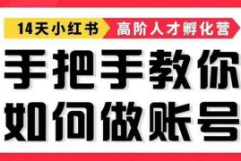 啵啵《14天手把手教做小红书帐号》