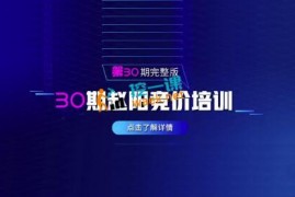 赵阳sem竞价30期培训课程