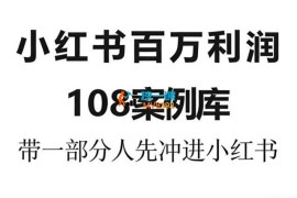 爱野佩佩《小红书百万利润108案例库》