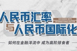 翟东升《人民币汇率与人民币国际化》