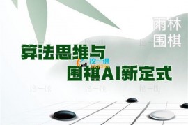 赖蜀霖《算法思维与围棋AI新定式》