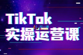 跨境刘博《TikTok实战运营课》