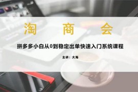大海《拼多多从0到稳定出单系统课程》