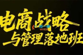 蒋晖《电商战略与管理落地班26年2月杭州线下课》