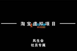 风生会《淘宝虚拟项目》