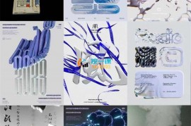 众筹：Blender零基础动态海报课