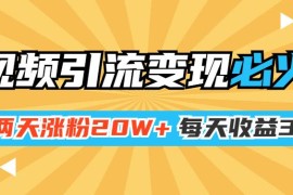 小明兄短视频引流变现必火课，两天涨粉20W+，每天收益3W+