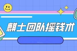麒士团队摇钱术