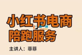 菲菲《小红书电商陪跑正价课》