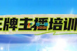 成哥《王牌主播培训》