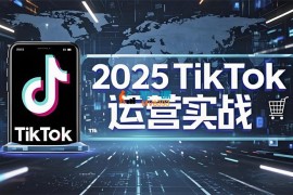阿涛《2025TikTok电商运营》