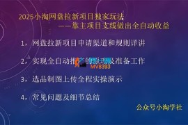 小淘《2025网盘拉新项目独家玩法》