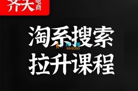 齐天电商《淘系搜索提升课程》