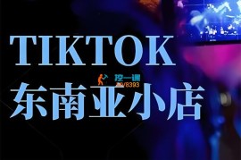 焦点电商《TikTok跨境小店运营班》