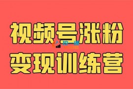 黄盈《视频号涨粉变现训练营》