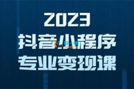 云老师《抖音小程序专业变现课》